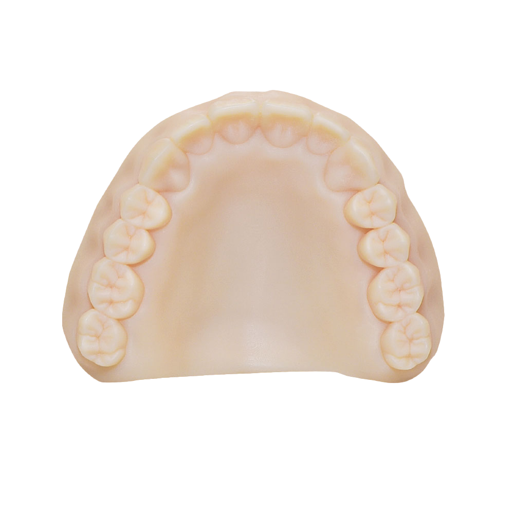 Rodin® Model - Image 2