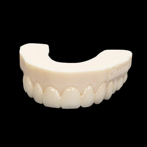 Rodin® EnVision - Image 7