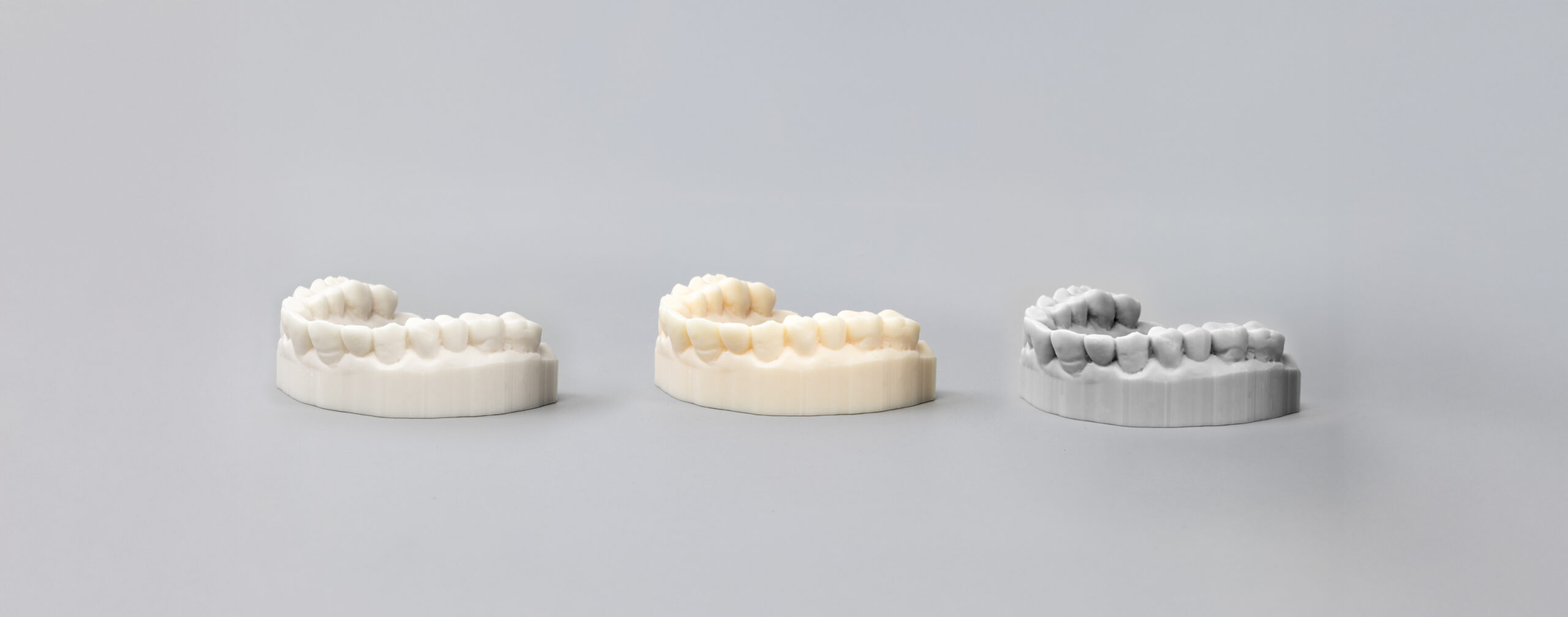 Rodin® TruModel™ - Image 6